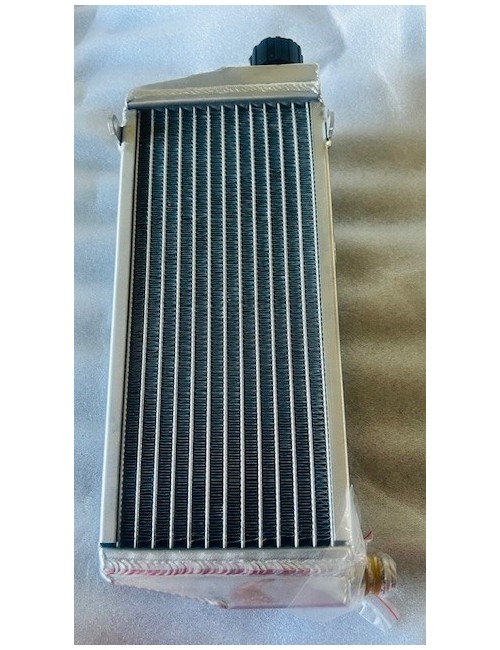 Radiatore Compatibile Rotax Max Evo - Junior -MagickArt