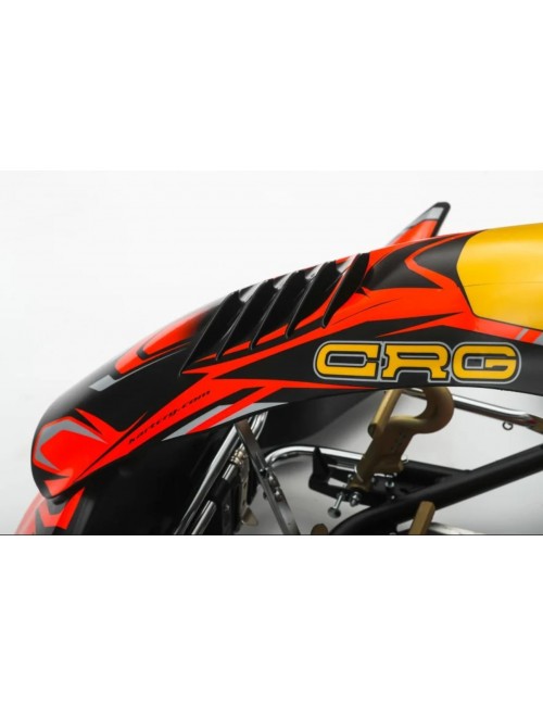 Rahmen CRG Kt2 x30 -Rotax- KA100- MagickART