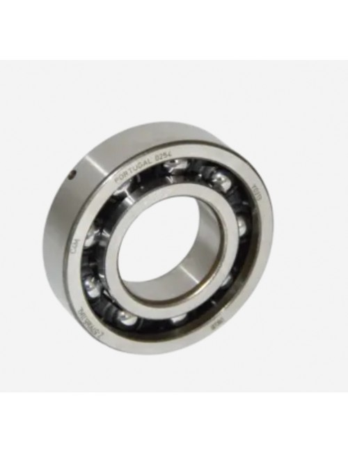 rolling-crankshaft-fag-6206-c3-Rotax-Max-Evo-magickart