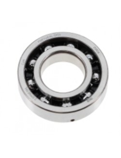 rolling-albero motore-Fag-6206-c3-Rotax-Max-Evo-magickart