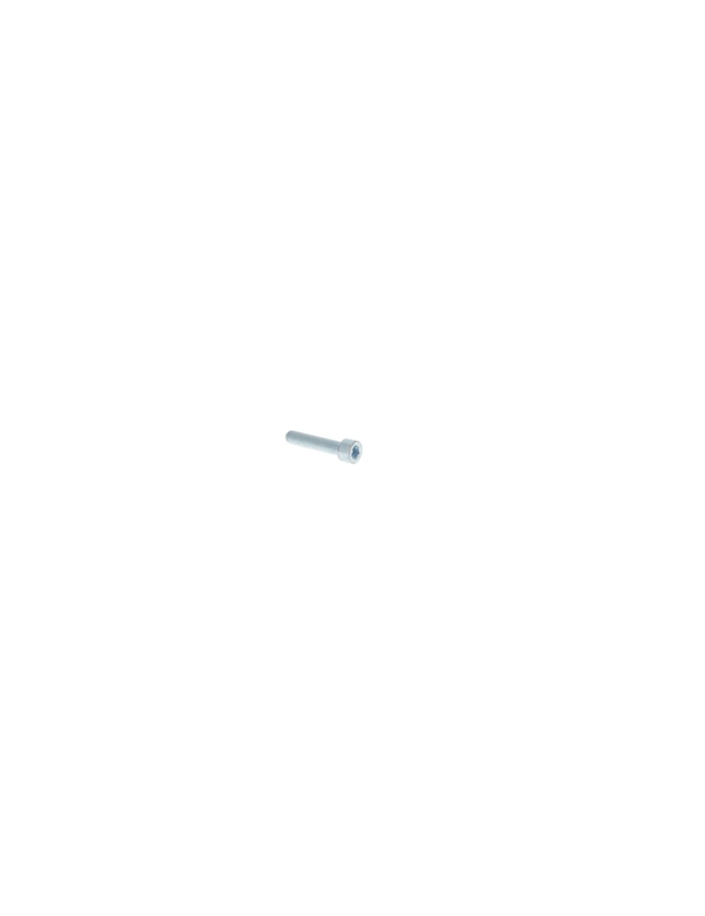 vis-chc-m6x45-fp-8.8-elzn-carter-rotax-max-magickart