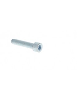 vis-chc-m6x45-fp-8.8-elzn-carter-rotax-max-magickart