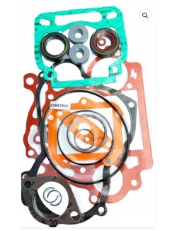 cover-Fugen-Complete Motor-Rotax-125-Max-Evo-Magickart