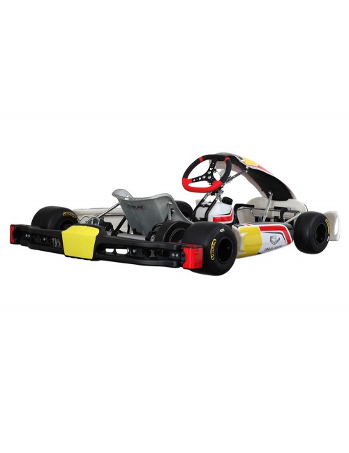Chassis Charles Leclerc...