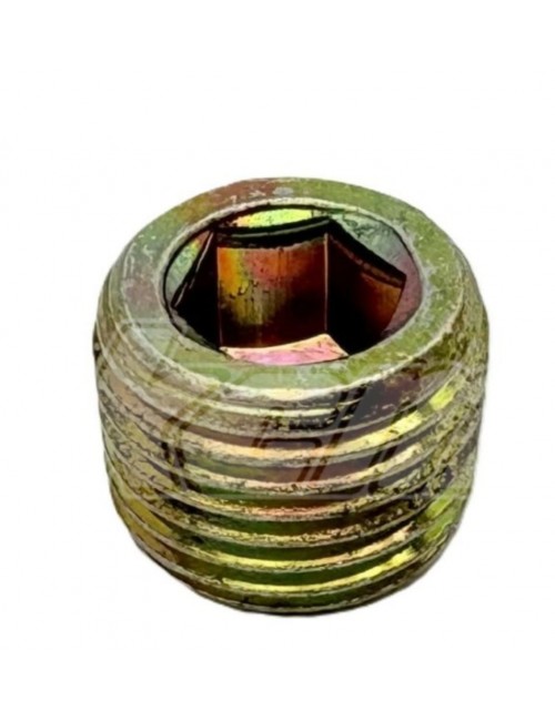 Rotax 1,8 plugue de torque 10 mm-magickart