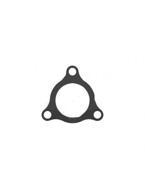 Kupplungsscheibe Rotax 1.5mm-Magickart