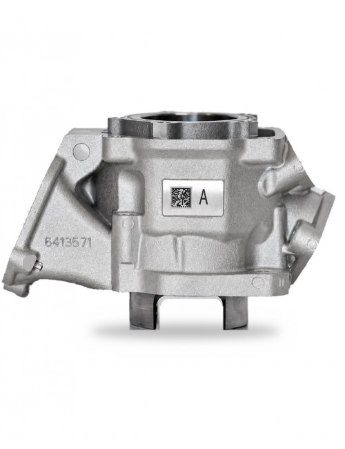 Κύλινδρος Rotax Evo Plasma...