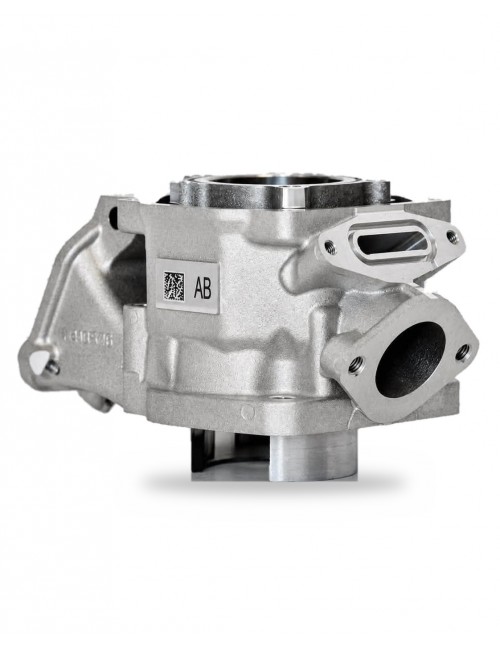 Cylinder Rotax EVO Plasma...