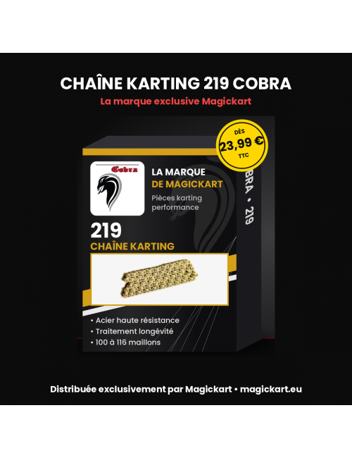 Αλυσίδα Karting 219 COBRA