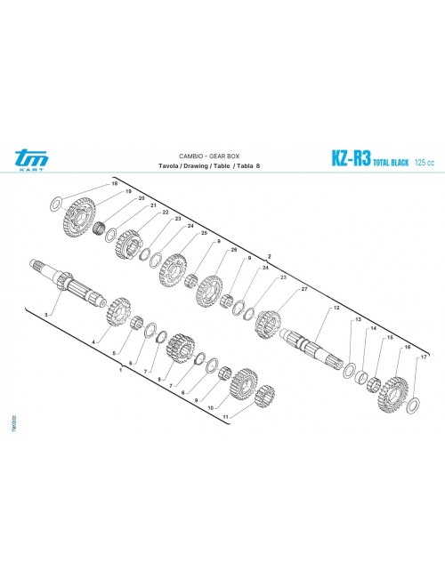Arbre primaire complet TM R3 18TM40045