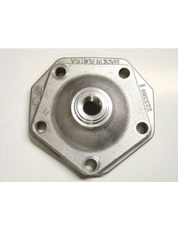 Rotax Zylinderkopf Magickart