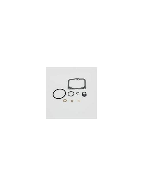 Carburatore 52612 dell'Orto (53)