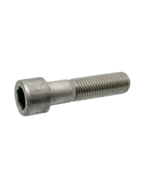 Cylindrical head screw -Magickart