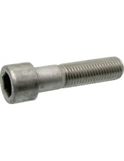 Cylindrical head screw -Magickart