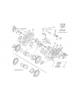 (21) 3x5mm clavette