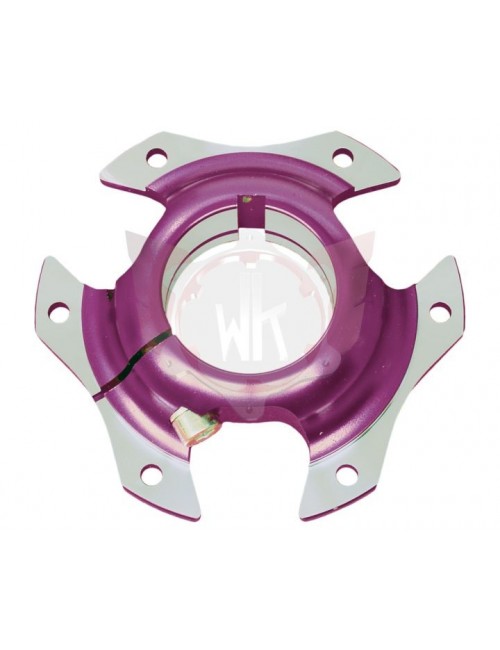 Racing disc holder