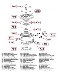 A03 - Guarnizione O-ring perno cilindro