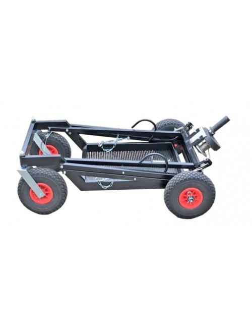 promozione carro Dalmi RG al Magickart