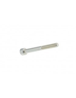 Vis Tête Cylindrique Six Pans Creux 6 x 55