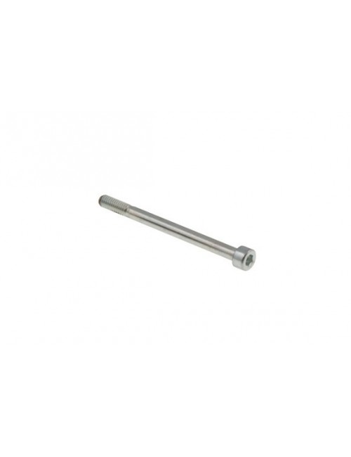BSM caliper pad axle - Mini Exp - Nordix