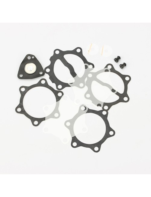 revision Kit for Petrol Pump 35 L (DF52-82) -MagickArt