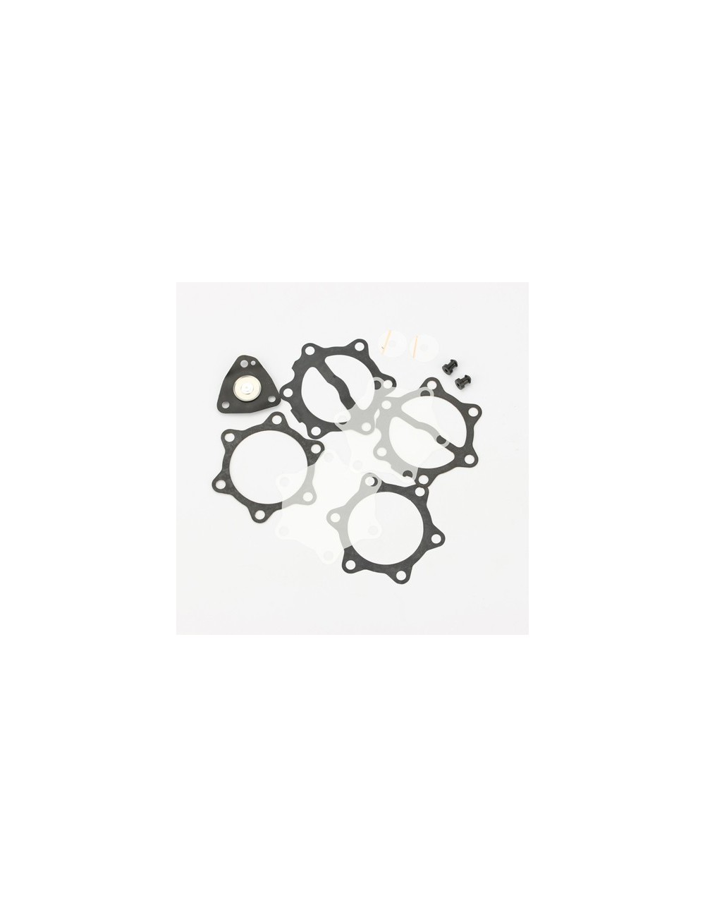revision Kit for Petrol Pump 35 L (DF52-82) -MagickArt