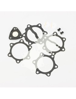 revision Kit for Petrol Pump 35 L (DF52-82) -MagickArt