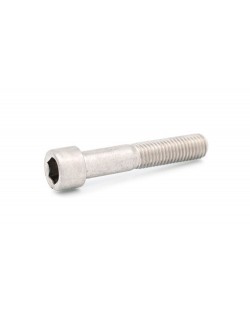BTR M8x75mm (radiator) screw -Magickart