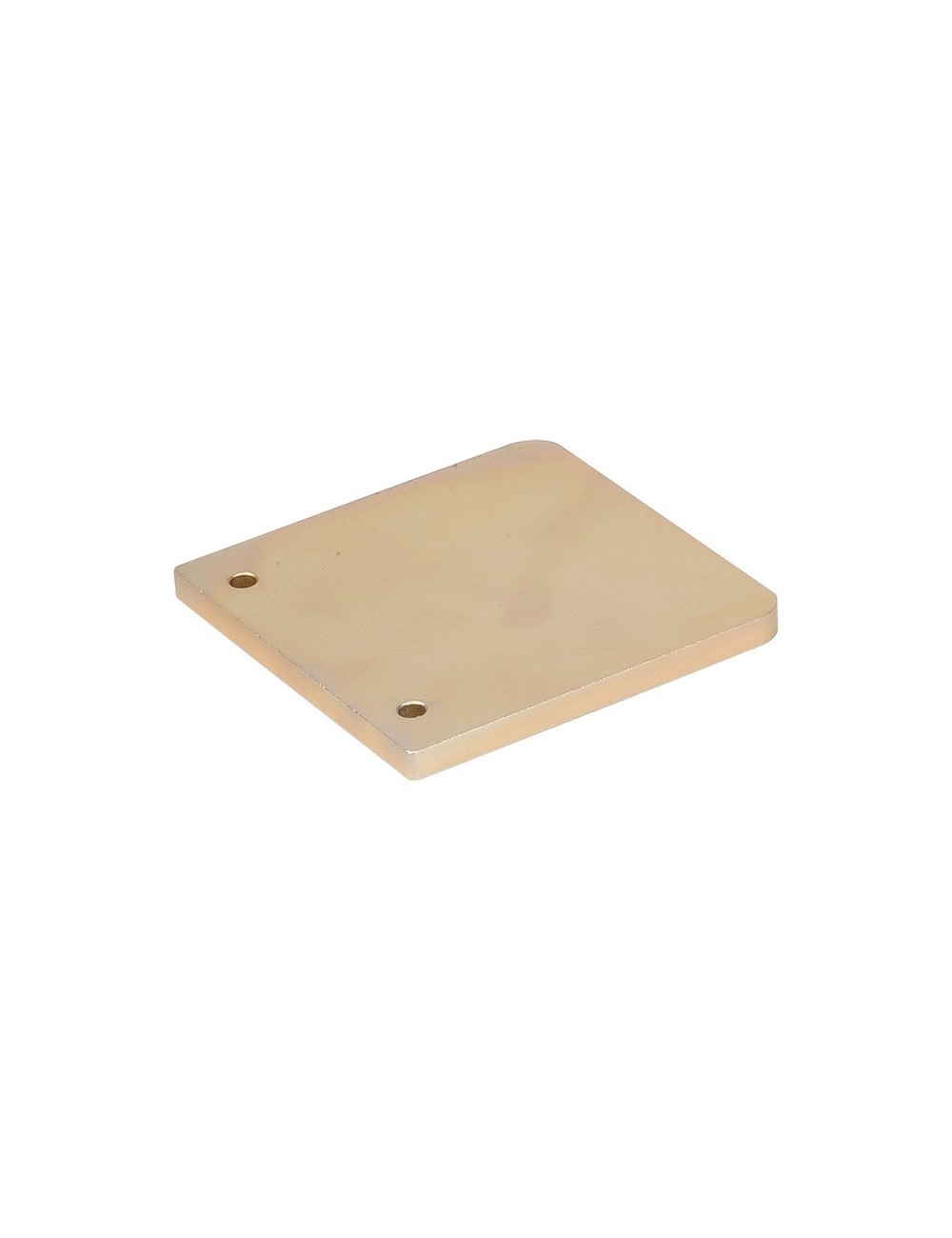 Plaque du support de Pédalier OTK