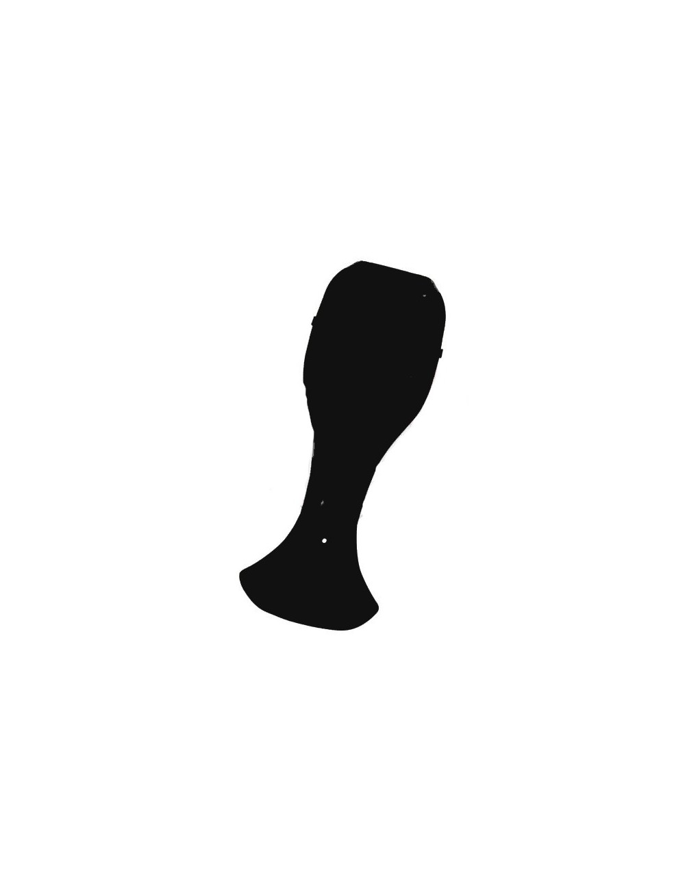 Frontschild  CRG NA3 CIK/FIA schwarz