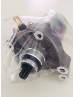 X30 Freizeitstarter / Rotax zum besten Preis in Magickart