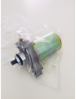 X30 Leisure Starter / Rotax al miglior prezzo di Magickart