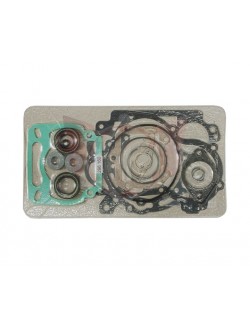 cover-Fugen-Complete Motor-Rotax-125-Max-Evo-Magickart