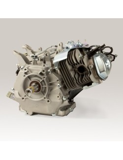 Magick moteur DM 390cc Evo2 9KW