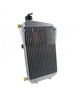 Radiateur avec bouchon DD2 avant 2011