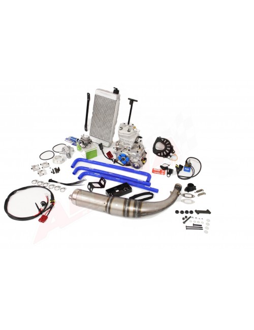 Motor Iame X30 Senior - 125 -Magickart