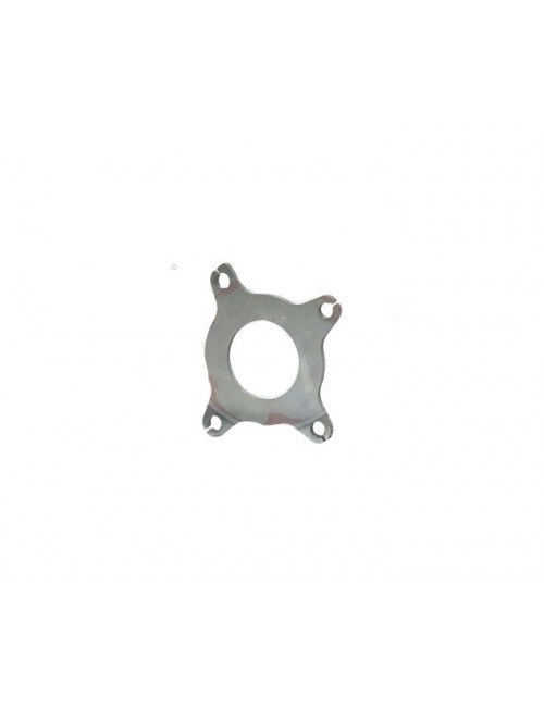 Plaque support (couvercle d'embrayage) DD2 ROTAX