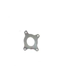 Plaque support (couvercle d'embrayage) DD2 ROTAX