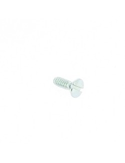 Tillotton HL / HW fork axle screw