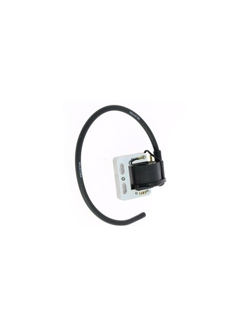 Selettra X30 ignition coil & Puma since 2008-magickart