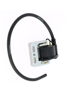 Selettra X30 ignition coil & Puma since 2008-magickart