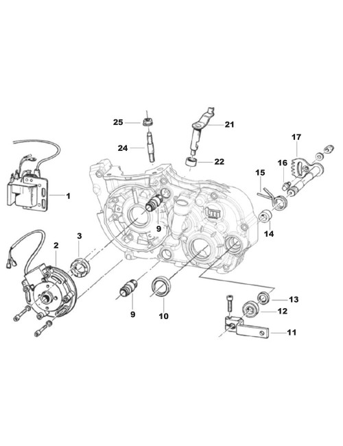 (21) Levier de commande embrayage TM