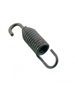 ROTAX EVO EXHAUST SPRING