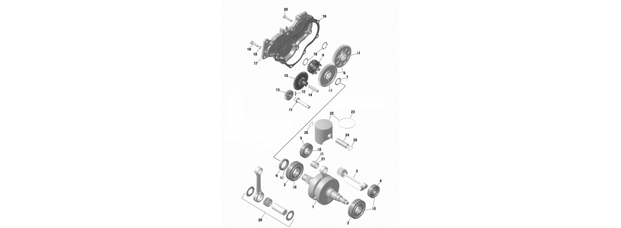 Virabrequim, pistão, bomba de água Rotax