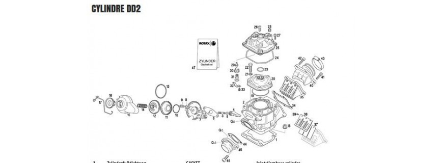 DD2 cylinder