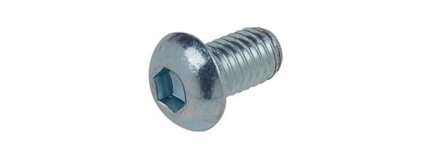 DOMED HEAD SCREW