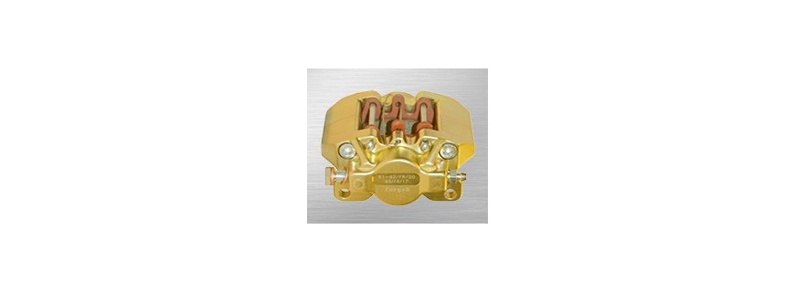 Rear brake caliper V09/V10/V11 Gold